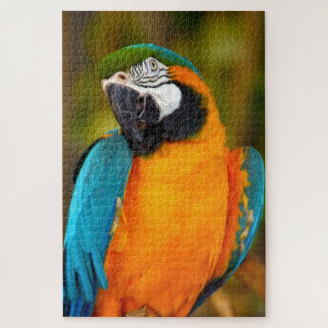 1000 Stück Majestic Macaw Puzzle (Vertikal)