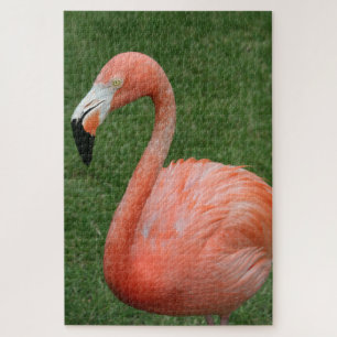 1000 Stück Rosa Flamingo Puzzle