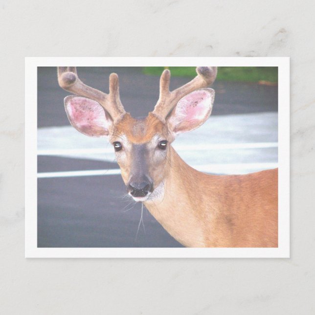 100606 POSTKARTE (Vorderseite)