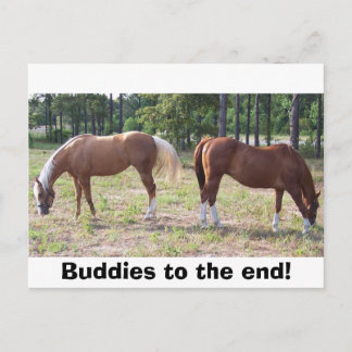 100_0350, Buddies bis zum Ende! Postkarte