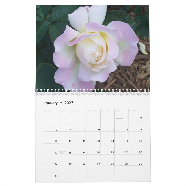 100_1907, Overton Rosen 2006 Kalender (Jan 2027)