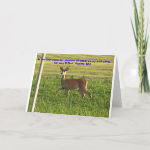 100_3149, Als die Hirschhose für Wasserläufe... Karte