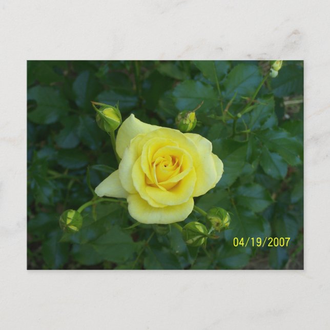 100_3464 POSTKARTE (Vorderseite)