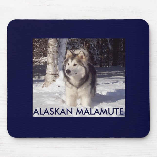 100_5815, ALASKISCHER MALAMUTE MOUSEPAD (Vorne)