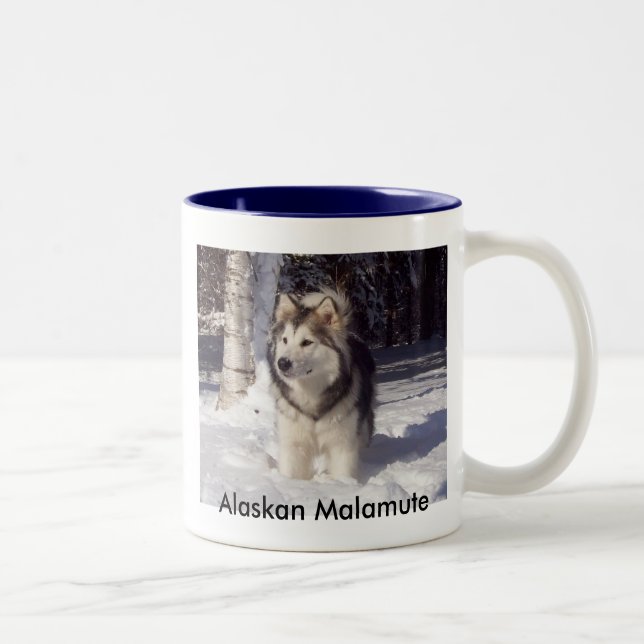 100_5815, alaskischer Malamute Zweifarbige Tasse (Rechts)