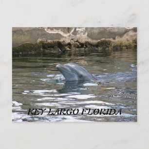 100_8578, KEY LARGO FLORIDA POSTKARTE