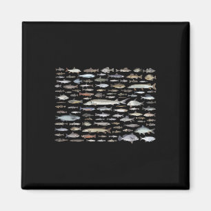 100 Arten von Süßwasserfischarten Angeln Magnet