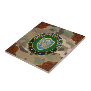 [100] DOD & Joint Activities CSIB Special Edition Fliese