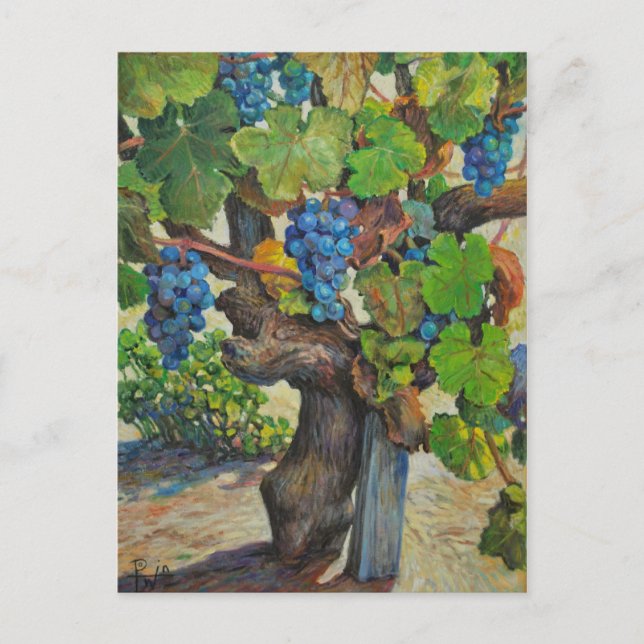 100 Jahre Hersteller Postkarte (Vorderseite)