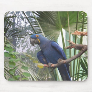 101_0361 MOUSEPAD