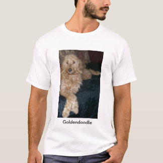 101_1570, Goldendoodle T-Shirt