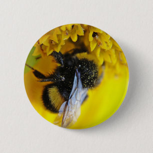 101.JPG BUTTON
