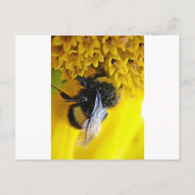 101.JPG POSTKARTE (Vorderseite)
