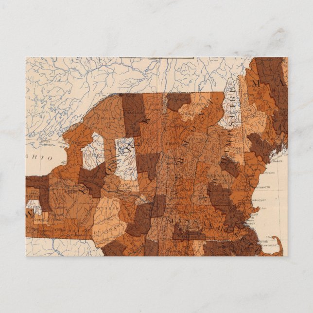 101 Verbrauch NY, NJ, New England Postkarte (Vorderseite)