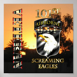 101st Im Flugzeug Veteran der Abteilungs-OIF Poster