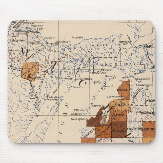 104 Krebs, Tumor Michigan Mousepad (Vorne)