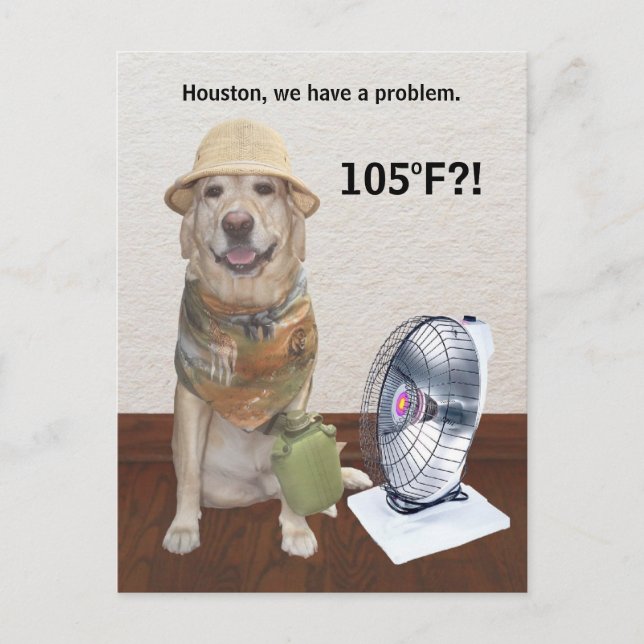 105 F?! POSTKARTE (Vorderseite)