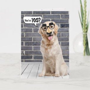 105. Geburtstag Funny Golden Retriever Card Karte
