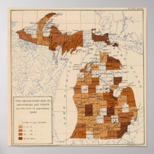 106 Diphtherie, Croup Michigan Poster