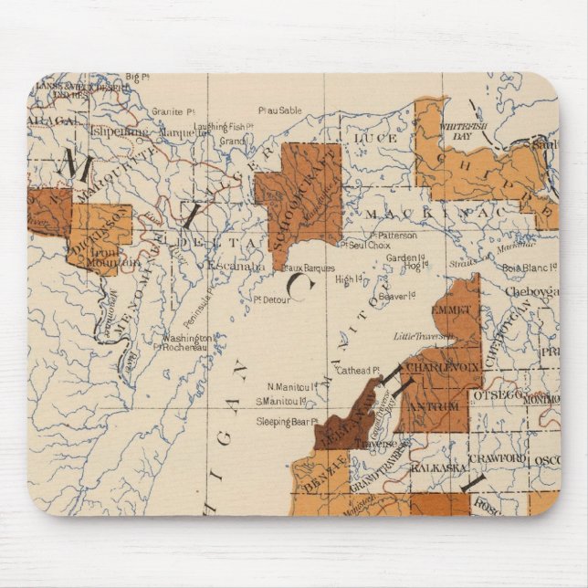 108 Influenza Michigan Mousepad (Vorne)