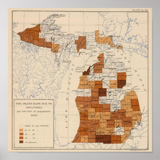 108 Influenza Michigan Poster (Vorne)