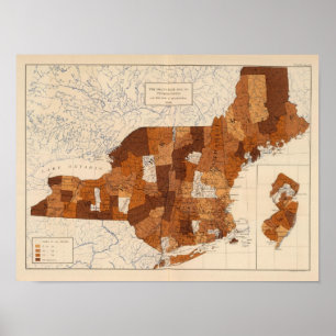 109 Typhoid fever NY, NJ, New England Poster