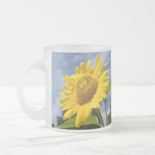 10.000 Sonnen Mattglastasse