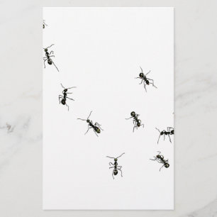 10 Ameisen Briefpapier