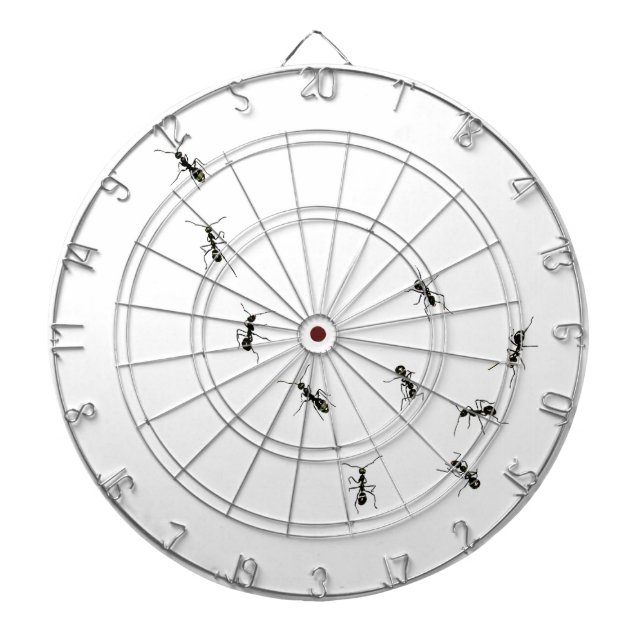 10 Ameisen Dartscheibe (vorne)