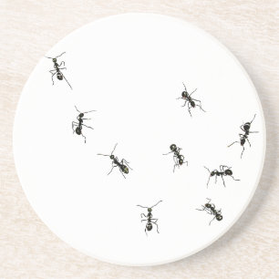 10 Ameisen Sandstein Untersetzer