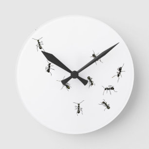 10 ants runde wanduhr