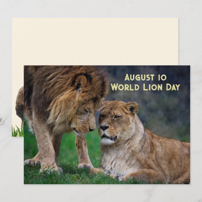 10. Aug, Weltlöwentag 5 x 7 Karte (Vorne/Hinten)