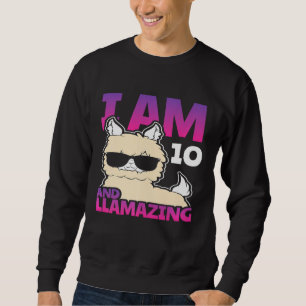 10. Geburtstag Llama 10 Jahre Phantastisch seit 20 Sweatshirt