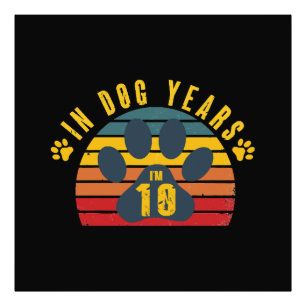 10 in Hundebahnen Fotodruck