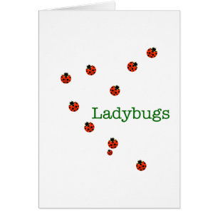 10 Ladybugs