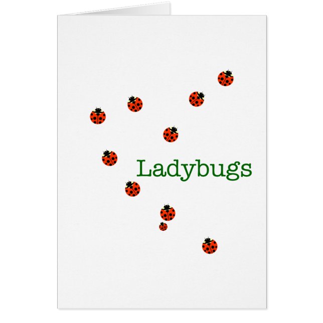 10 Ladybugs (Vorne)