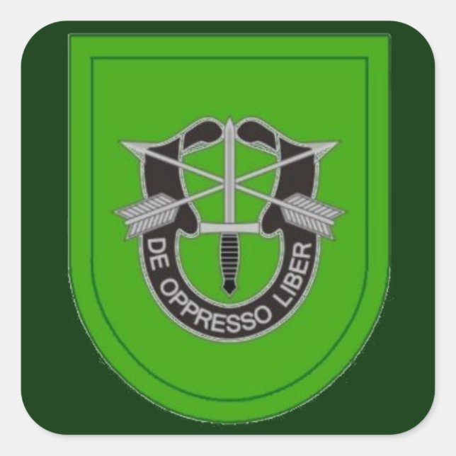 10. Special Forces Grp Flash DUI Stickers (Vorderseite)