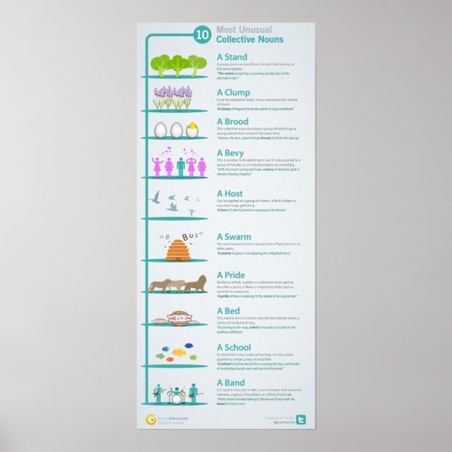 10 ungewöhnlichste Kollektivnounen offen gelegt un Poster (Vorne)