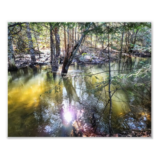 10" x8" Foto drucken | | Ein Spaziergang durch die (Vorne)