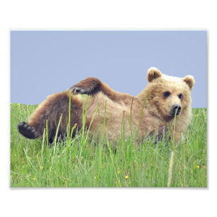 10" x 8", berufliches Foto-Papier Kodaks (Satin) Fotodruck