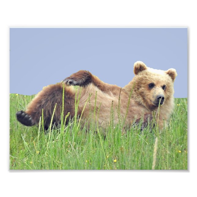 10 Zoll x 8 Zoll, Kodak Berufliches Foto Paper (Sa (Vorne)