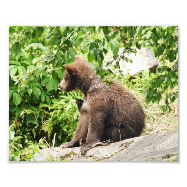 10 Zoll x 8 Zoll, Kodak Berufliches Foto Paper (Sa (Vorne)