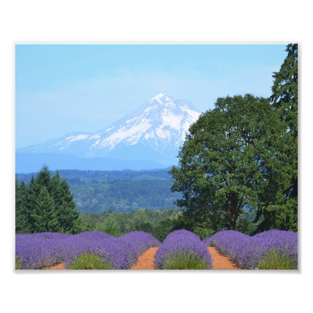 10 Zoll x 8 Zoll, Kodak Berufliches Foto Paper (Sa (Vorne)