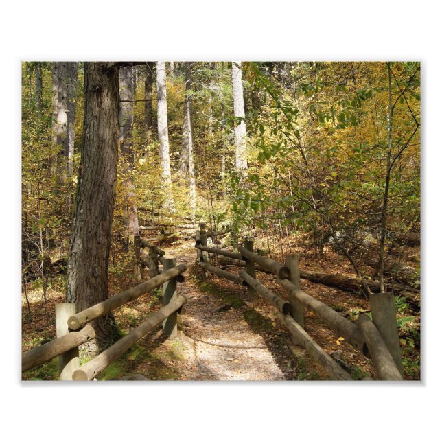 10x8-Fotodruck Fotodruck (Vorne)