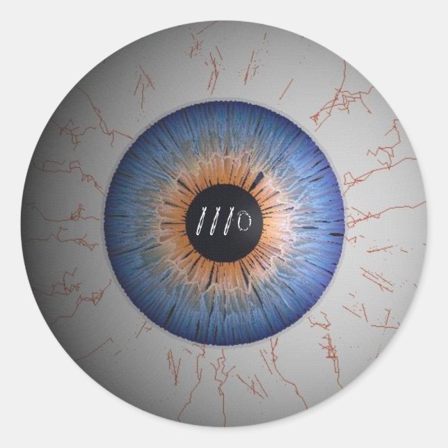 110 HELMET STICKER (Vorderseite)