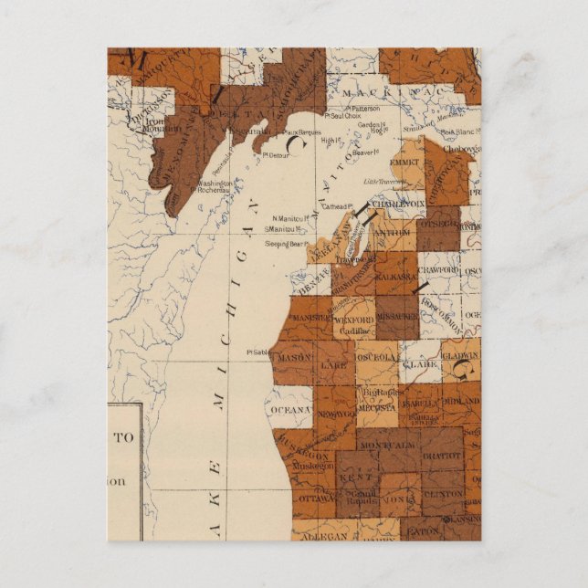 110 Typhus-Fieber Postkarte (Vorderseite)