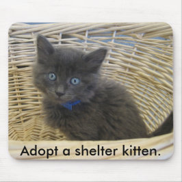 112907 petfinder 028, adoptieren ein mousepad