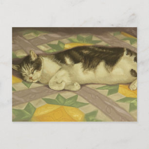 1149 Katze auf Quilt Postkarte