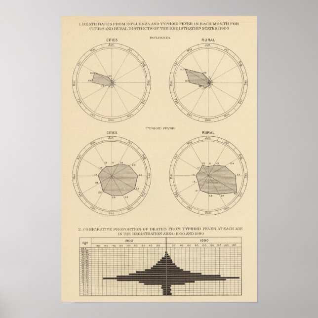 117 Influenza, Typhus 1900, 1890 Poster (Vorne)