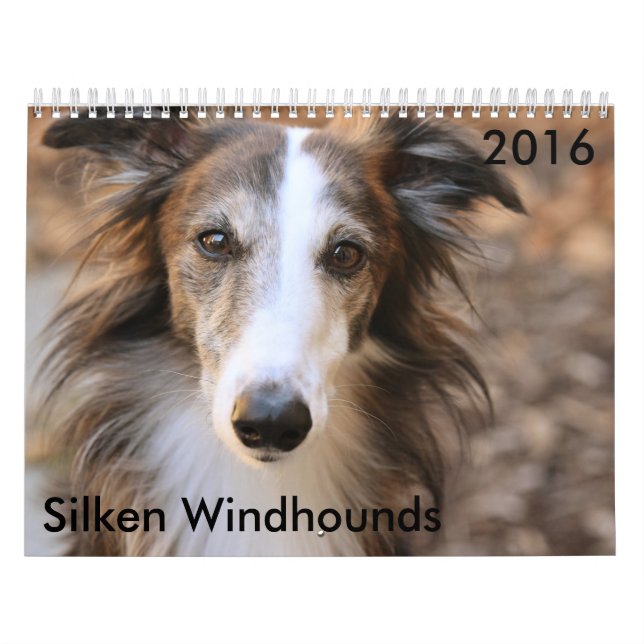 11 2016 seidener Windhounds Kalender (Titelbild)